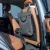 RATI CARBAG - storage, bin and seat protector