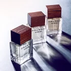Car perfume FRESSO Magnetic Style (50 ml)